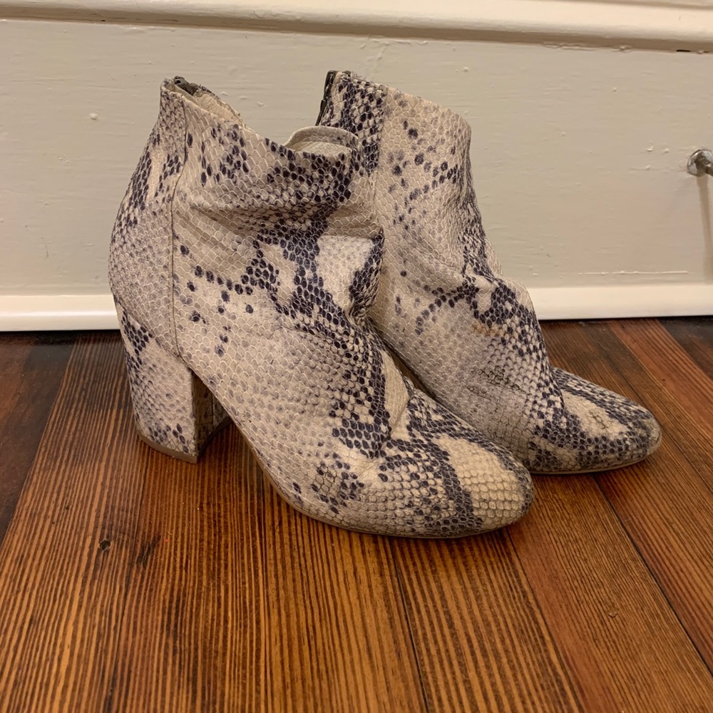 Steve Madden snake skin booties